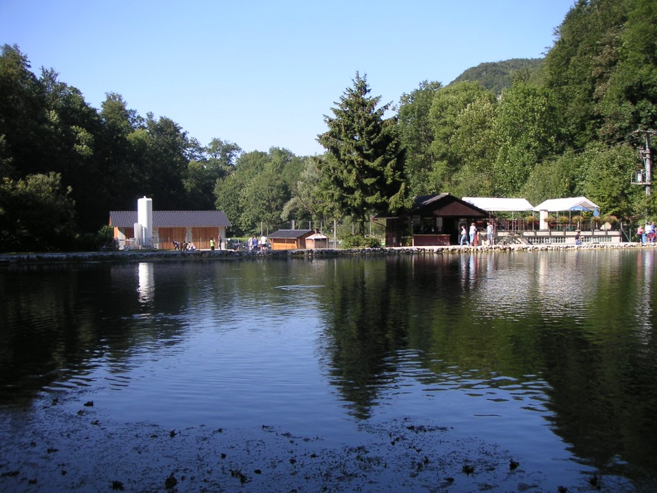 Angelbetrieb & Fischzucht